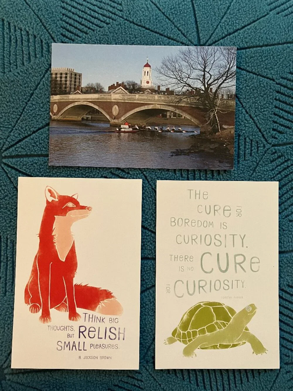 Irving House at Harvard Postcards (Set of 3, Fox, Turtle, Charles River)